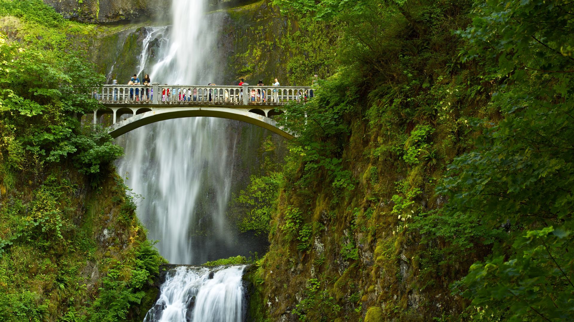 Viajar com Sustentabilidade  Guia Completo para um Turismo Consciente
